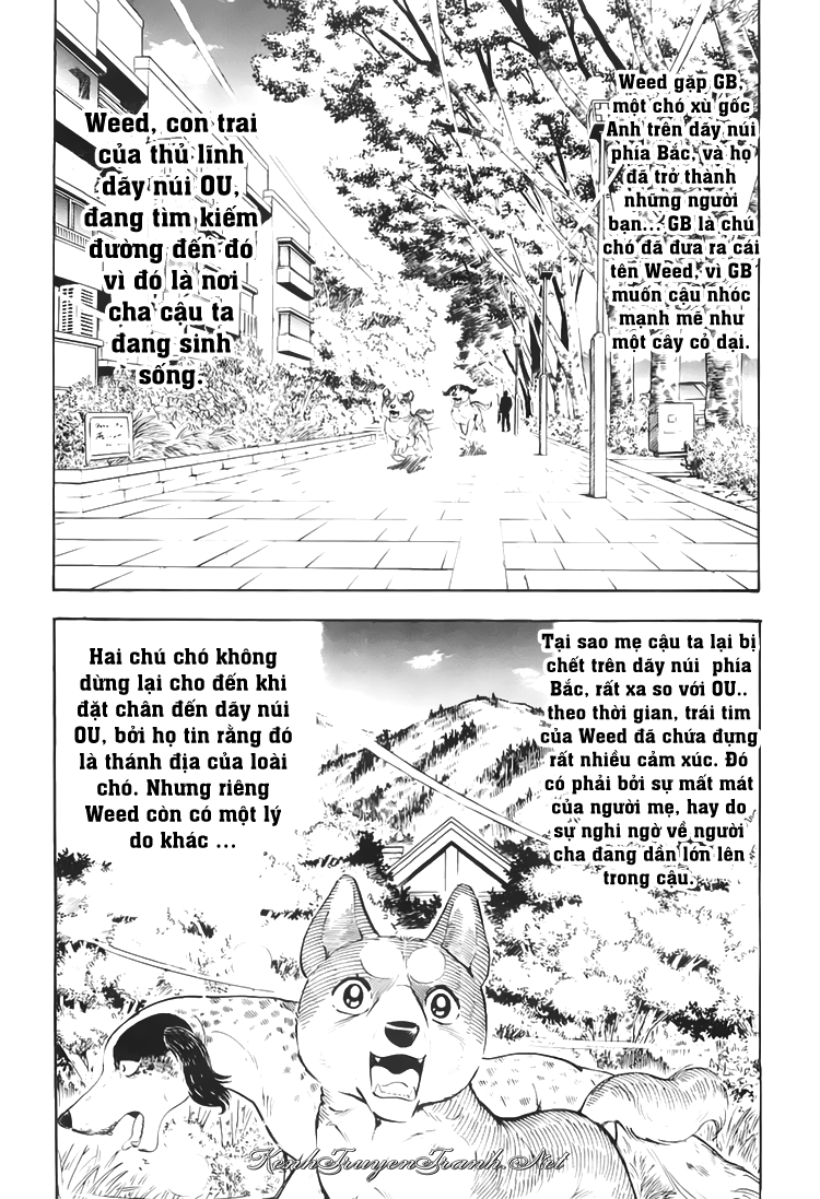 Kênh Truyện Tranh