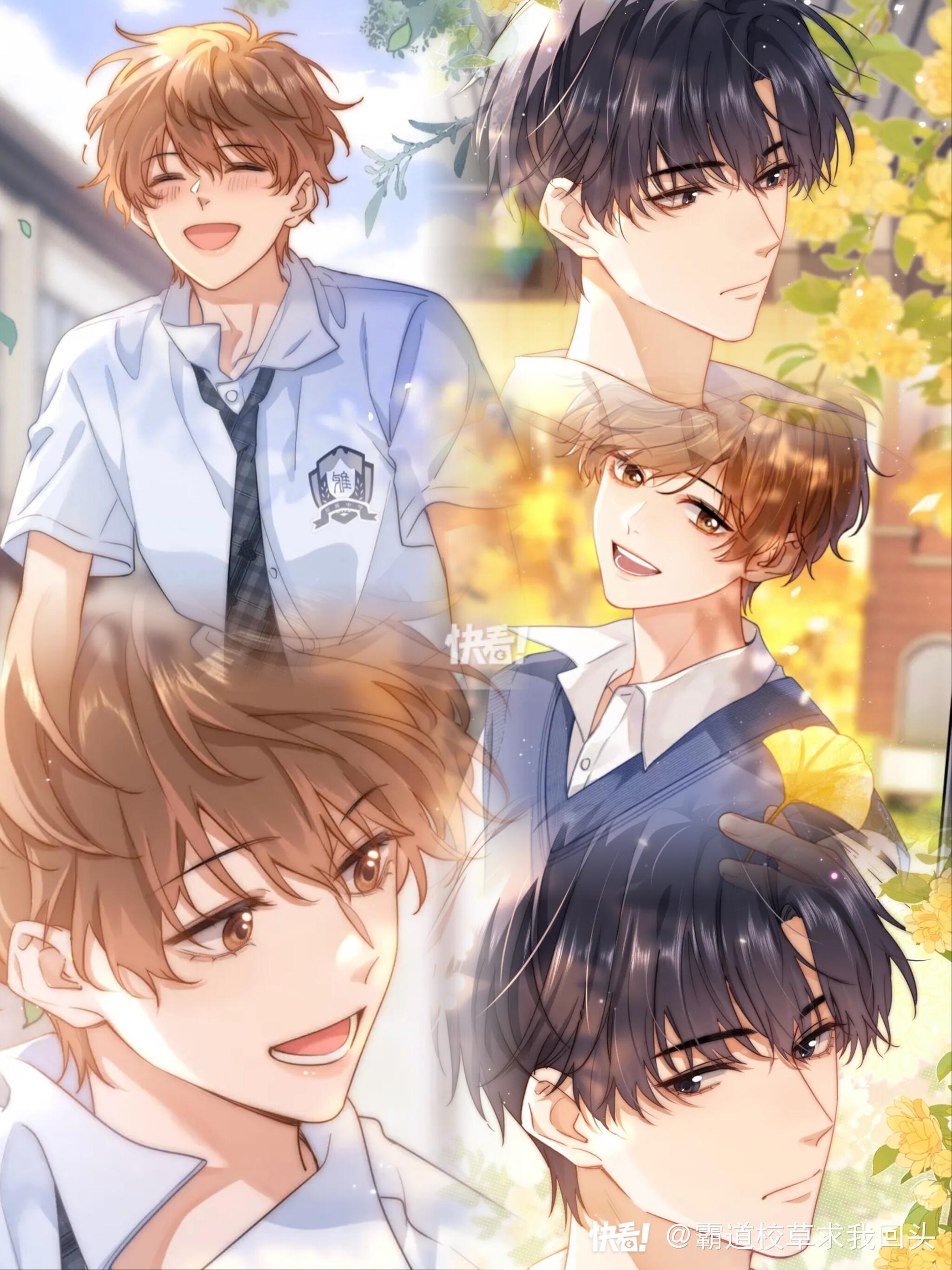 Chất Dị Ứng Cực Cute